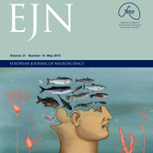 Cover of European Journal of Neuroscience, illustrated by Bonnie Gloris.